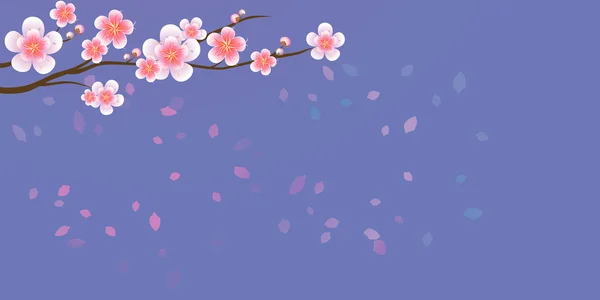 Rama de sakura con flores. Rama de flor de cerezo con pétalos — Vector de stock