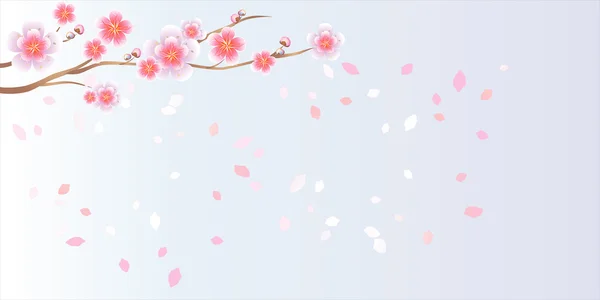 Ramo de sakura com flores. Ramo de flor de cereja com pétalas —  Vetores de Stock