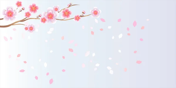 Ramo de sakura com flores. Ramo de flor de cereja com pétalas — Vetor de Stock