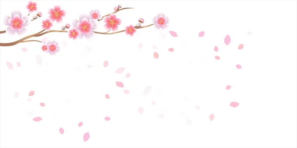 Branche de sakura avec des fleurs. Branche de fleurs de cerisier avec pétales — Image vectorielle