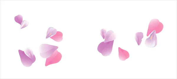 Pétalos voladores rosados aislados en blanco. Pétalos Sakura. Vector — Vector de stock