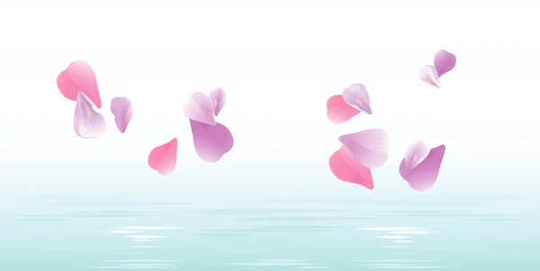 Pétalos rosados cayendo en agua. Pétalos Sakura. Vector — Vector de stock