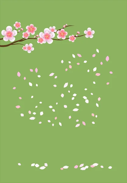 Rama de sakura con flores. Rama de flor de cerezo con pétalos — Vector de stock