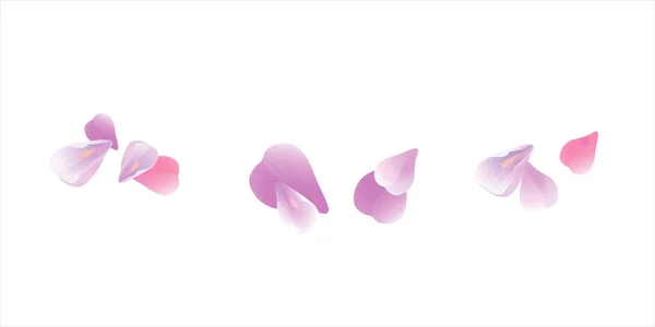 Pink flying petals isolated on white. Sakura petals. Vector — Stock Vector