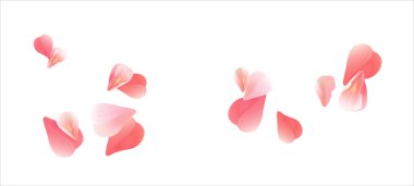 Beyaz arka plan üzerinde izole yaprakları uçan Sakura. Vektör 