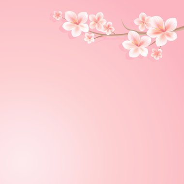 Çiçek tasarım. Sakura çiçekleri arka plan. Sakura çiçekli dalı. Pembe dalda kiraz çiçeği. Vektör 