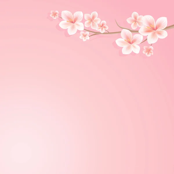Conception de fleurs. Sakura fleurit fond. Branche de sakura avec des fleurs. Branche de cerisier sur rose. Vecteur — Image vectorielle
