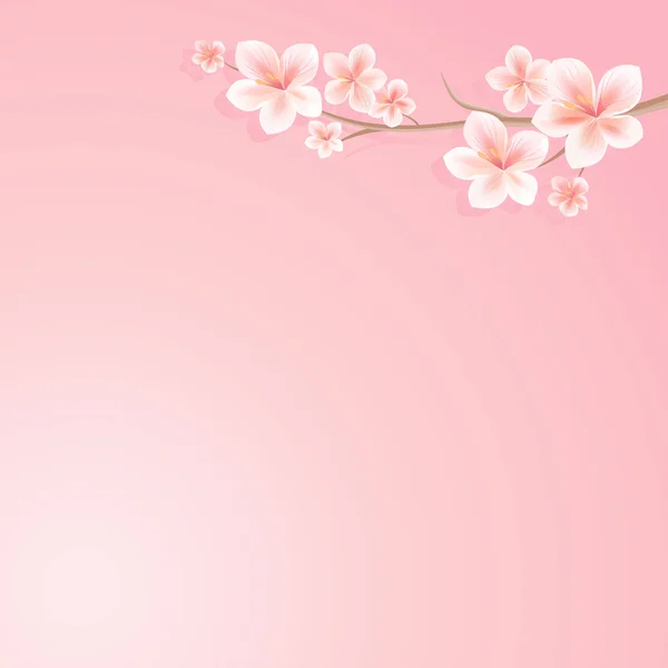 Çiçek tasarım. Sakura çiçekleri arka plan. Sakura çiçekli dalı. Pembe dalda kiraz çiçeği. Vektör 