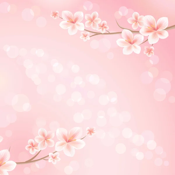 Sakura blüht auf. Sakura-Zweig mit Blumen. Kirschblütenzweig auf rosa Bokeh Hintergrund. Vektor — Stockvektor