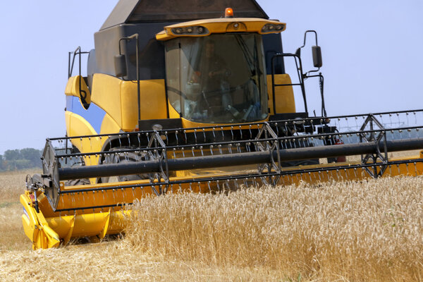 Combine harvester working on a wheat field