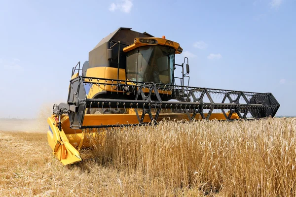 Mähdrescher bei der Arbeit auf einem Weizenfeld — Stockfoto