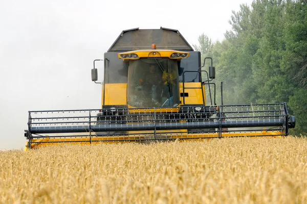 Combinar colheitadeira trabalhando em um campo de trigo — Fotografia de Stock