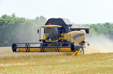 Buğday tarlasında çalışan hasatçıyı birleştirin.