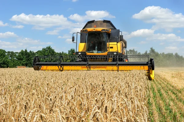 Combine harvester working on a wheat field — Stock Photo, Image