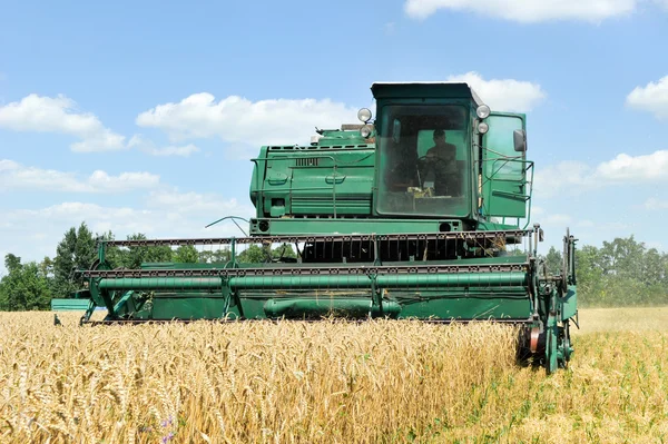 Combinar colheitadeira trabalhando em um campo de trigo — Fotografia de Stock