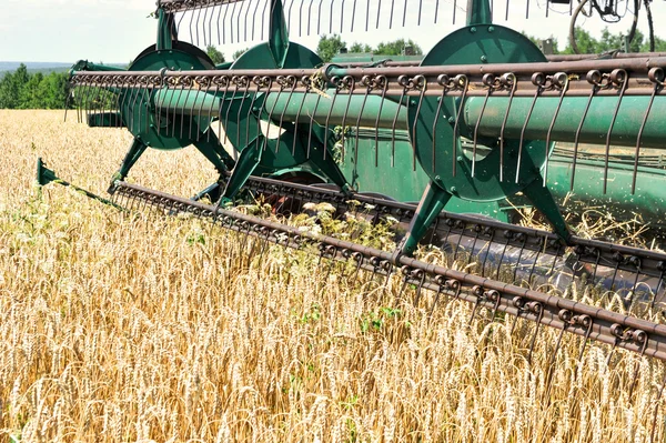 Combinar colheitadeira trabalhando em um campo de trigo — Fotografia de Stock