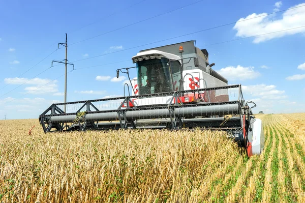 Mähdrescher bei der Arbeit auf einem Weizenfeld — Stockfoto