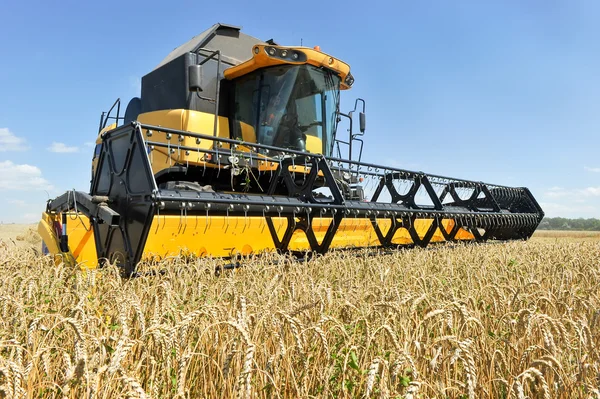 Combine harvester working on a wheat field — Stock Photo, Image