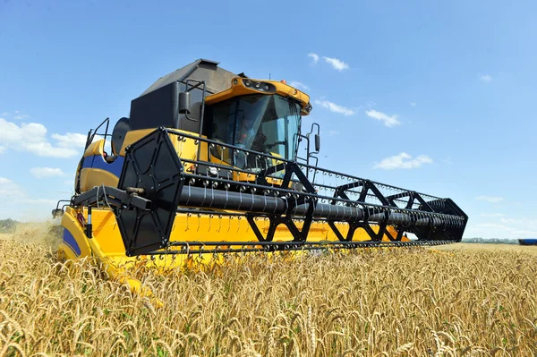 Maaidorser werken op een tarweveld combineren — Stockfoto