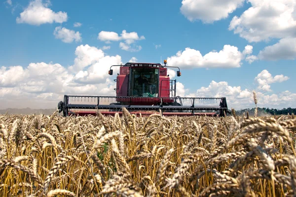 KHARKIV / UKRAINE - JULHO 12. Colheita de campo de trigo no Oblast de Kharkiv na Ucrânia em 12 de julho de 2011 . — Fotografia de Stock