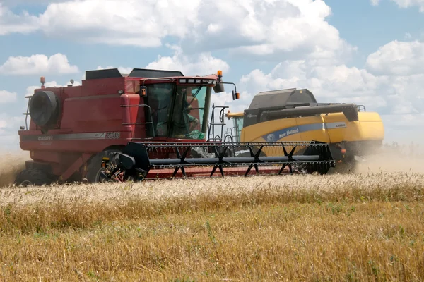 Kharkiv / Ukrayna - Temmuz 12. Kharkiv Oblast Ukrayna'nın buğday alanında 12 Temmuz 2011 yılında hasat. — Stok fotoğraf
