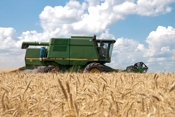 KHARKIV / UKRAINE - JULY 12. Harvesting wheat field in Kharkiv Oblast in the Ukraine in July 12, 2011. — Stock Photo, Image