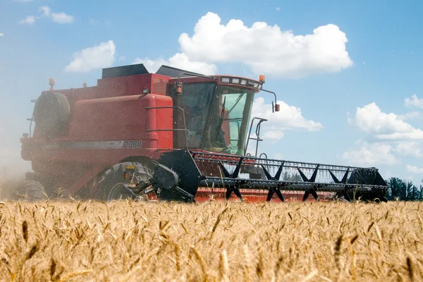 KHARKIV / UCRANIA - 12 de julio. Cosecha del campo de trigo en el óblast de Kharkiv, Ucrania, 12 de julio de 2011 . — Foto de Stock