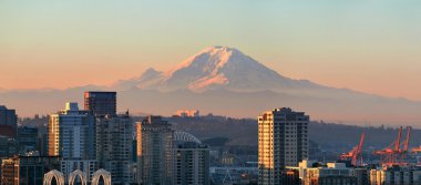 Mount Rainier görünümü
