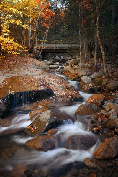 Ruisseau d'automne coloré — Photo