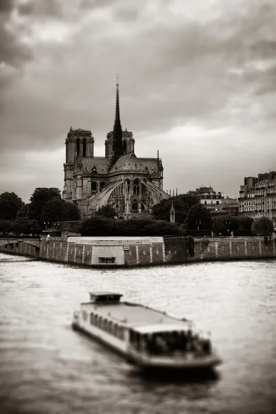 Cathédrale Notre-Dame — Photo