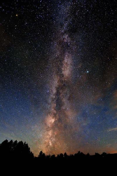 Milky Way over forest — Stock Photo, Image