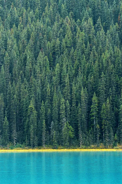 Banff Nemzeti Park — Stock Fotó