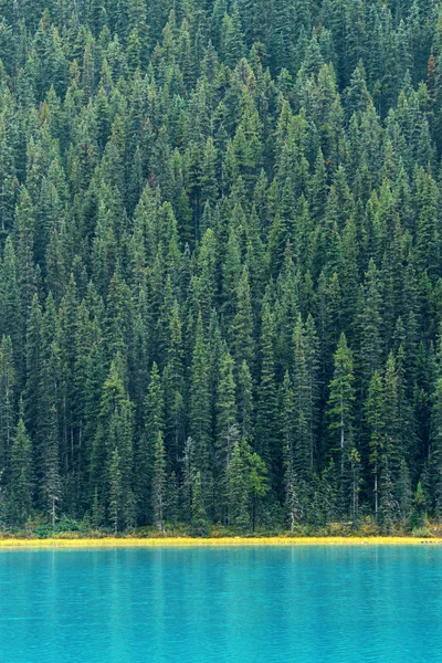 Parque Nacional do Banff — Fotografia de Stock