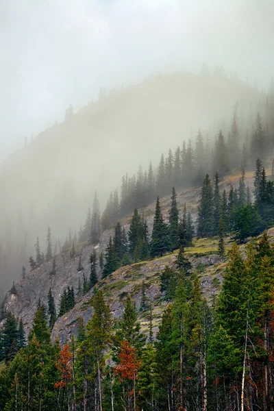 Banff-Nationalpark — Stockfoto