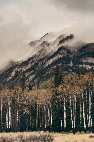 Národní park Banff — Stock fotografie