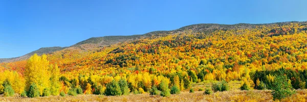 Stowe kırsal görünümü