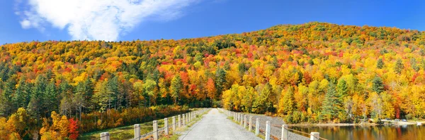 Stowe Vista do campo — Fotografia de Stock