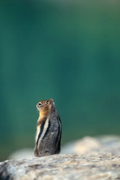 Parque Nacional Banff — Foto de Stock