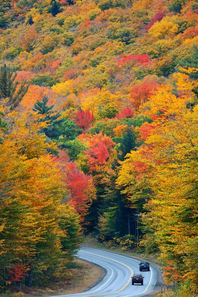 Herbstlaub und Autobahn — Stockfoto