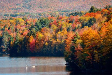Göl sonbahar yaprakları
