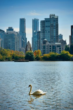 Vancouver şehir manzarası