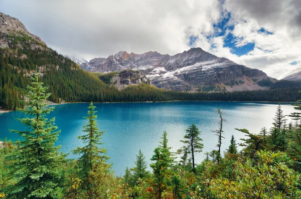 Yoho nemzeti park — Stock Fotó