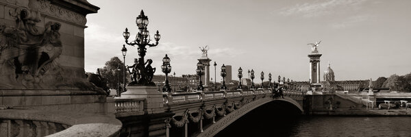 Alexandre III bridge and River Seine