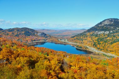 Sonbahar yaprakları görünümü