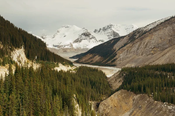 Columbia Vista de Icefield —  Fotos de Stock