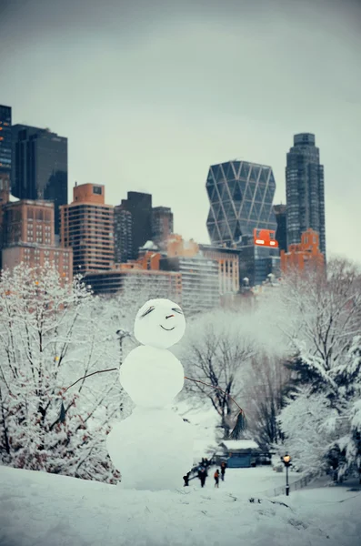 Parque central inverno — Fotografia de Stock