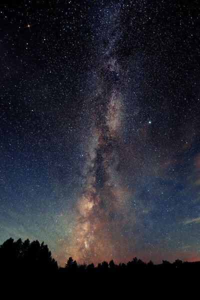 Milky Way over forest