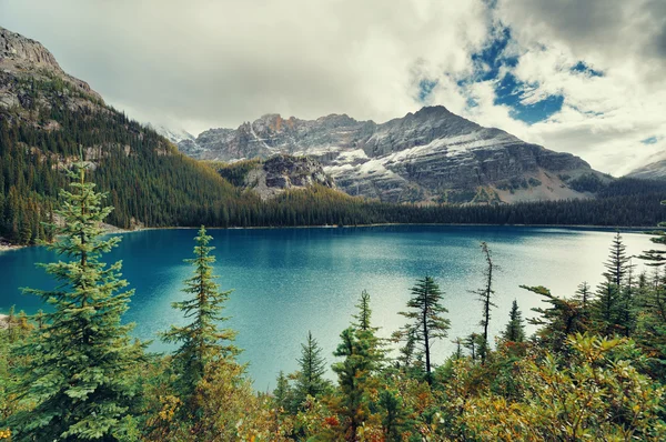 Yoho nemzeti park — Stock Fotó