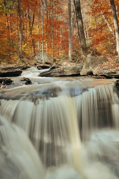Autumn waterfalls view — Stock Photo, Image