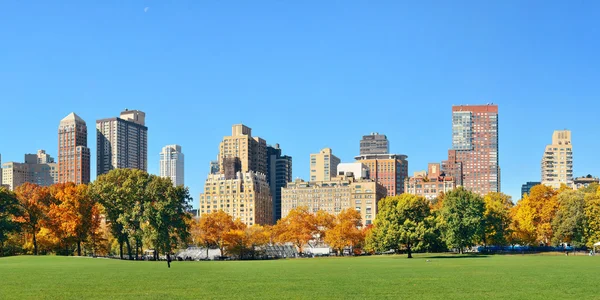 Central park jesienią — Zdjęcie stockowe